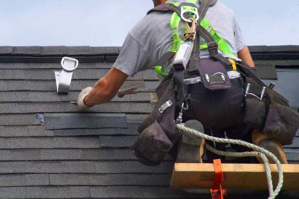 Best Roof Leak Repair  in Chrisman, IL