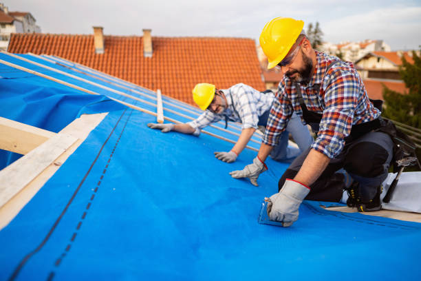 Best Roof Inspection Near Me  in Chrisman, IL