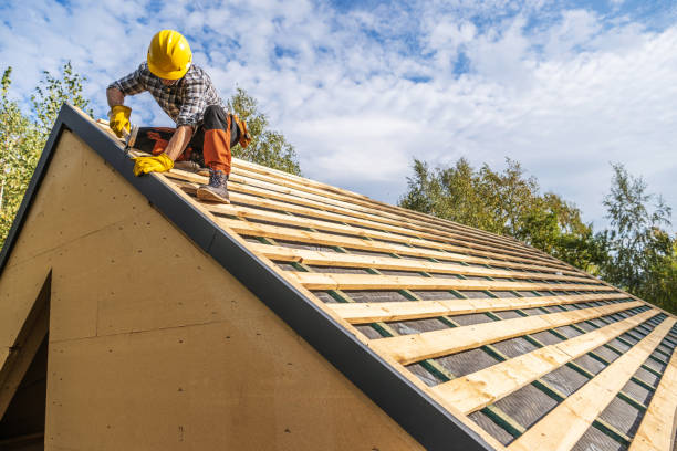 Best Roof Waterproofing Services  in Chrisman, IL