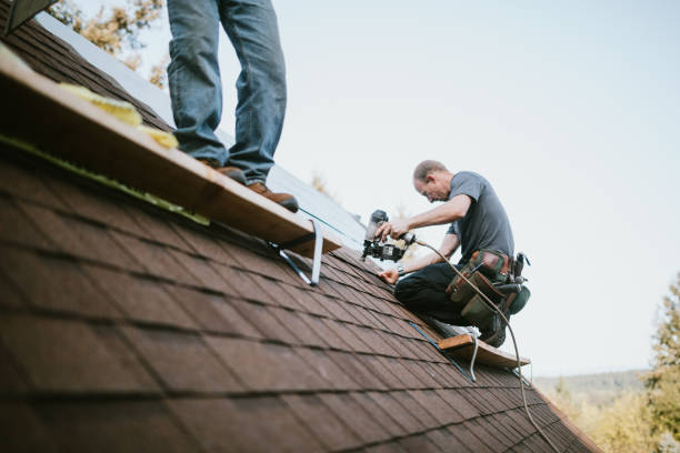 Best New Roof Installation  in Chrisman, IL